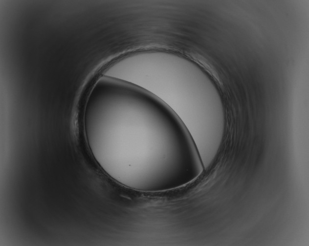 X0000096980676200802080900