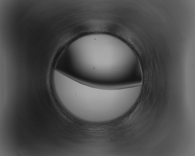 X0000096980677200802080900