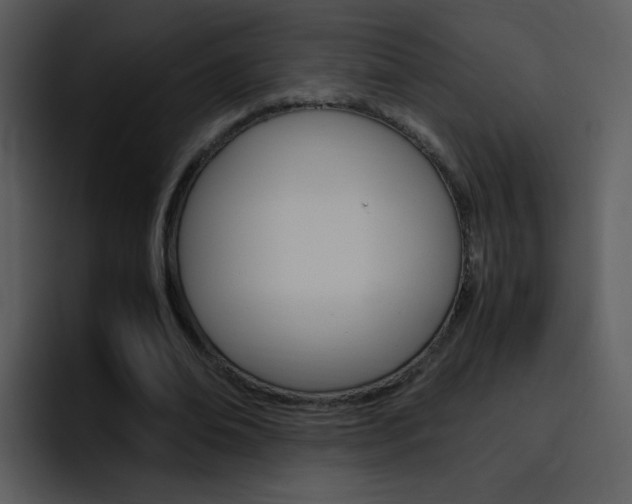 X0000096980678200802080900