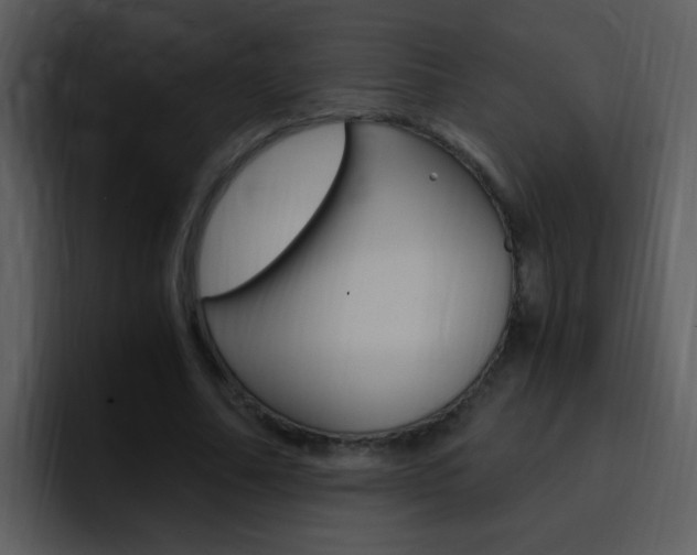 X0000096980682200802080900