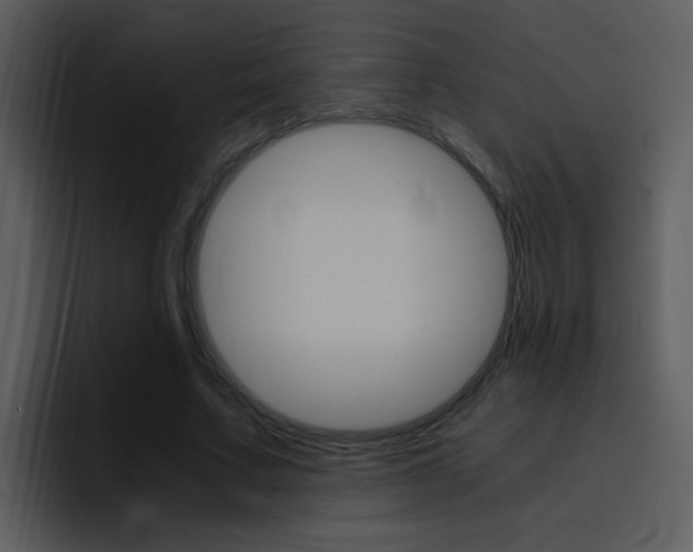 X0000096980683200802080900