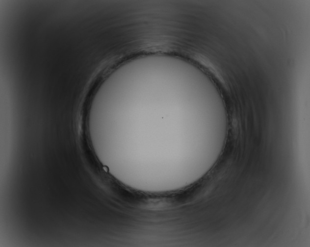 X0000096980686200802080900