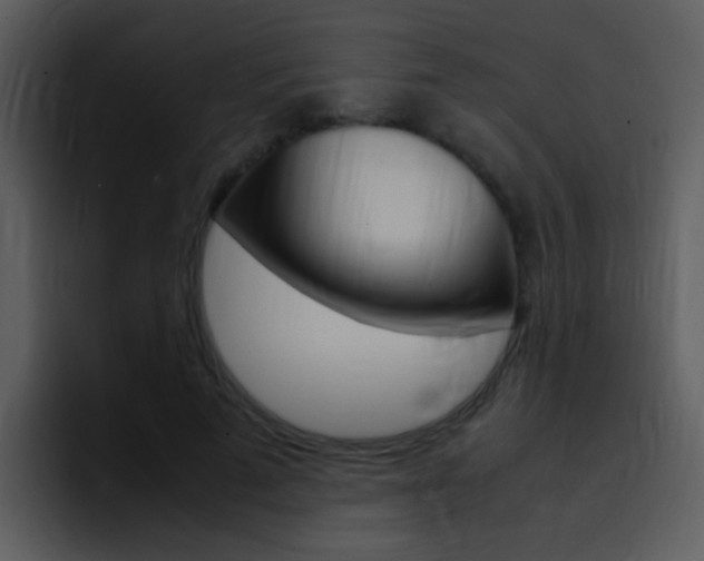 X0000096980689200802080900