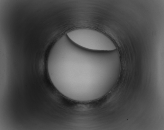 X0000096980690200802080859