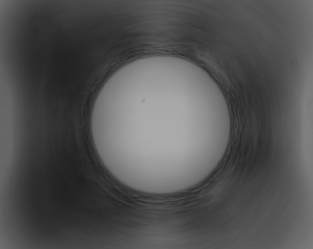 X0000096980691200802080859