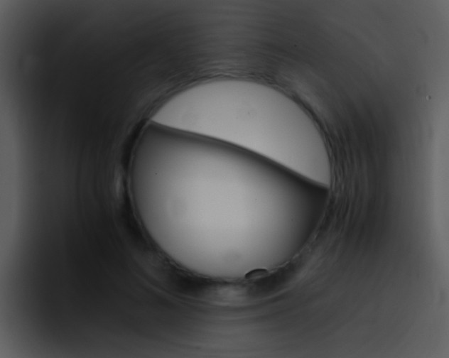 X0000096980692200802080859