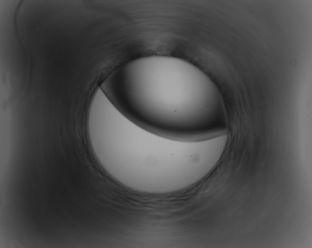 X0000096980693200802080859