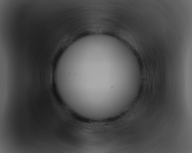 X0000096980694200802080859