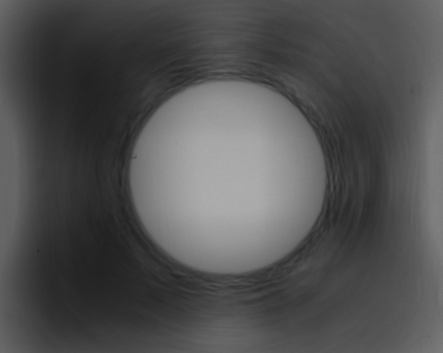 X0000096980695200802080859