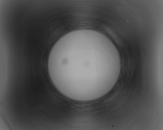 X0000096980696200802080859