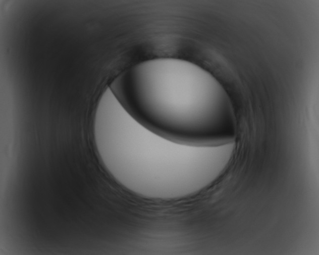 X0000096980697200802080859
