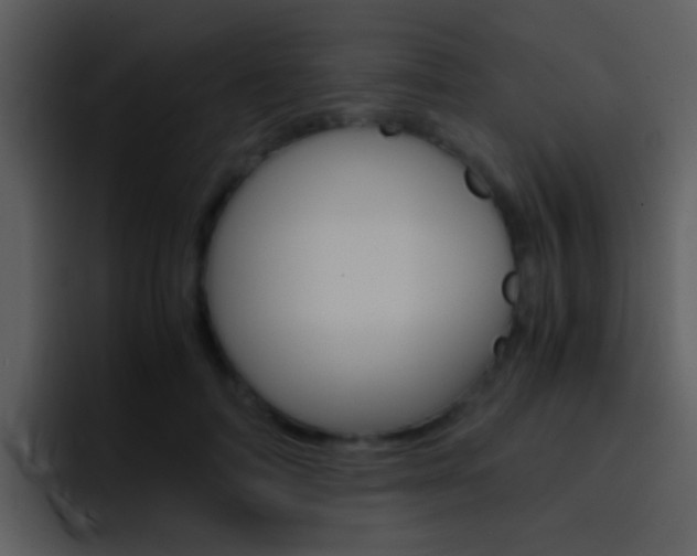 X0000096980698200802080859