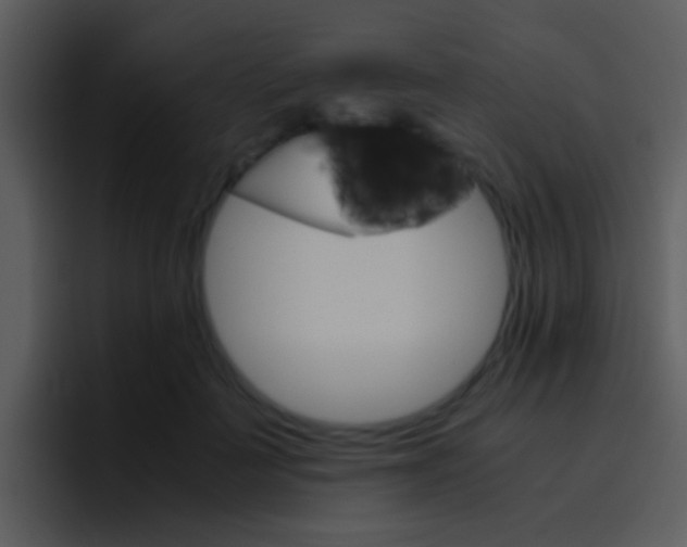 X0000096980699200802080859
