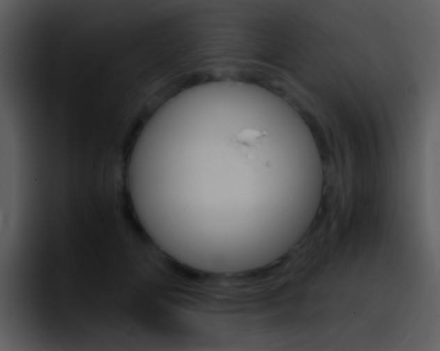 X0000096980702200802080859