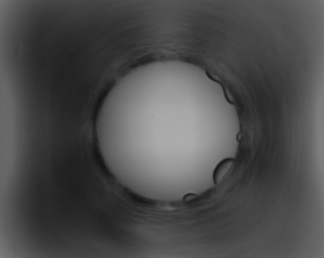 X0000096980706200802080859
