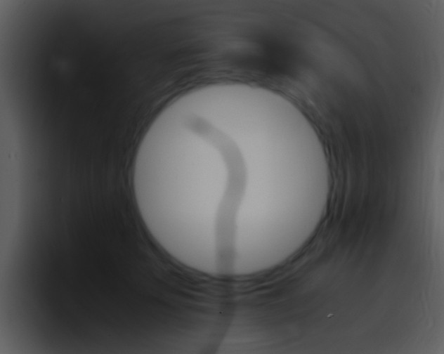 X0000096980707200802080859