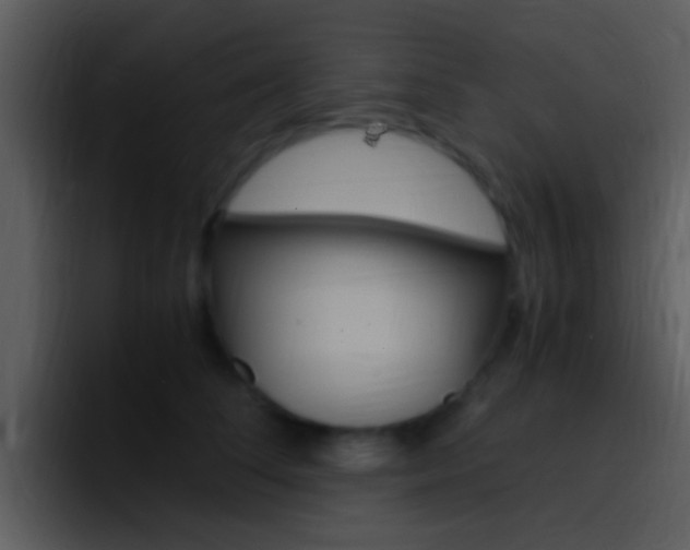 X0000096980708200802080859