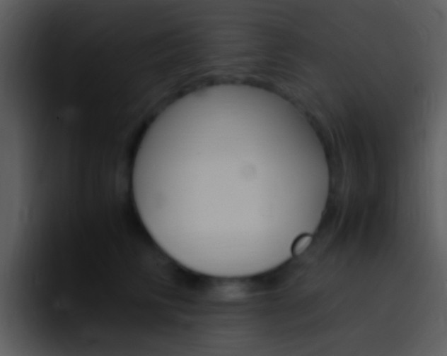 X0000096980710200802080859