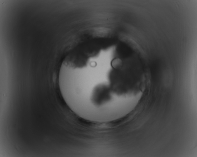 X0000096980711200802080859