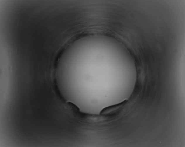 X0000096980712200802080859