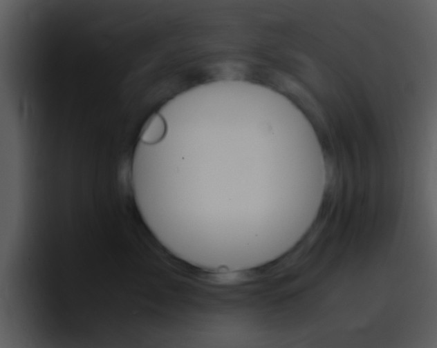 X0000096980717200802080859