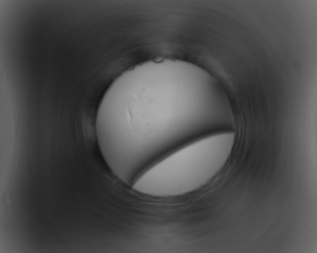 X0000096980719200802080859