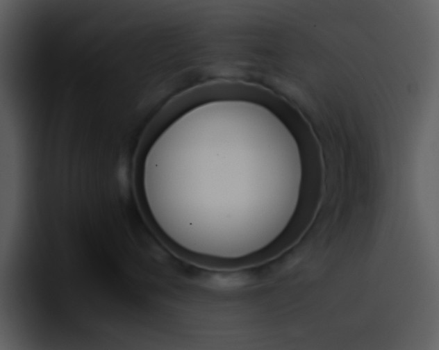 X0000096980720200802080859