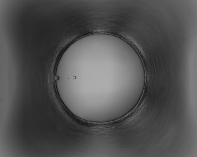 X0000096980721200802080858