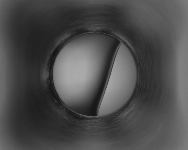 X0000096980723200802080859