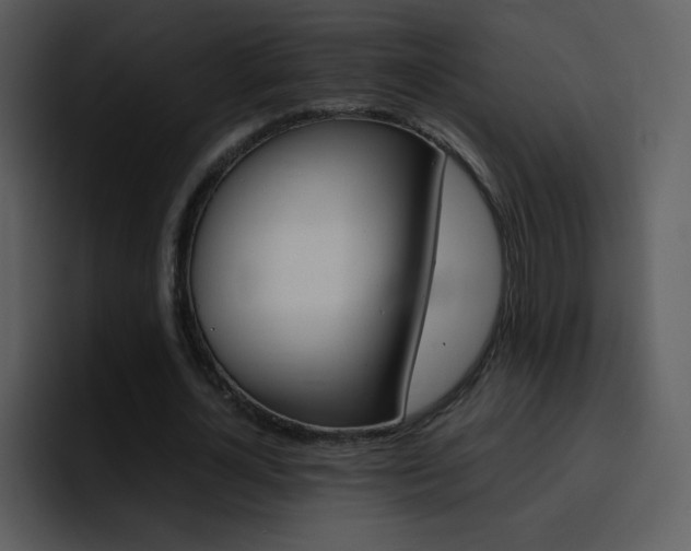 X0000096980724200802080859