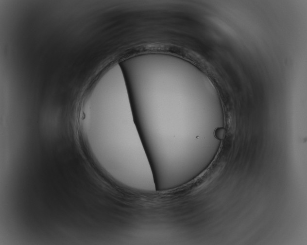 X0000096980725200802080859