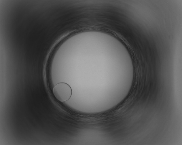 X0000096980726200802080859
