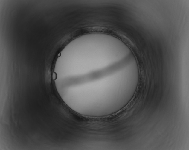 X0000096980729200802080859