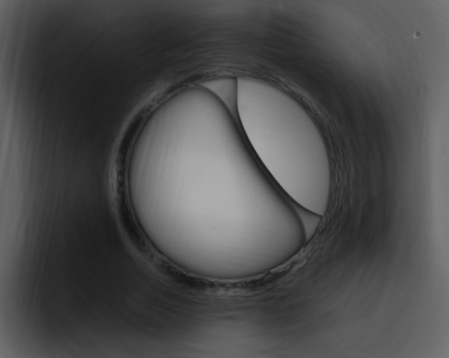 X0000096980730200802080859