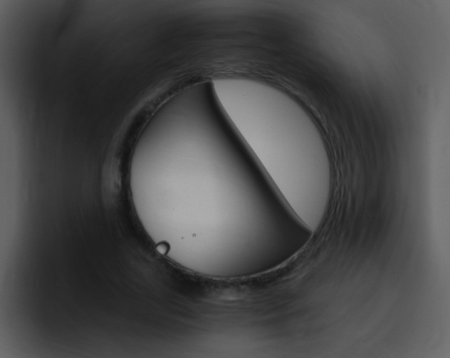 X0000096980731200802080859