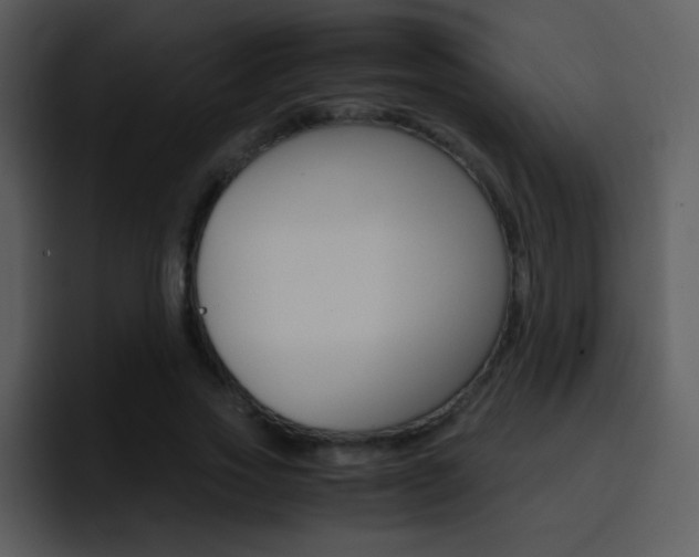 X0000096980733200802080859