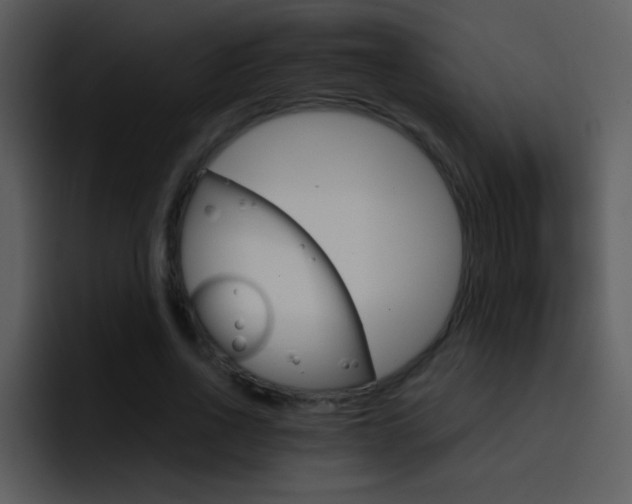 X0000096980734200802080859