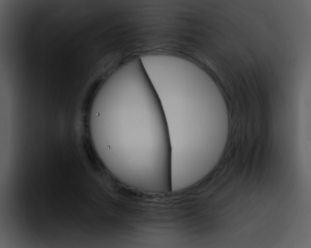 X0000096980738200802080859