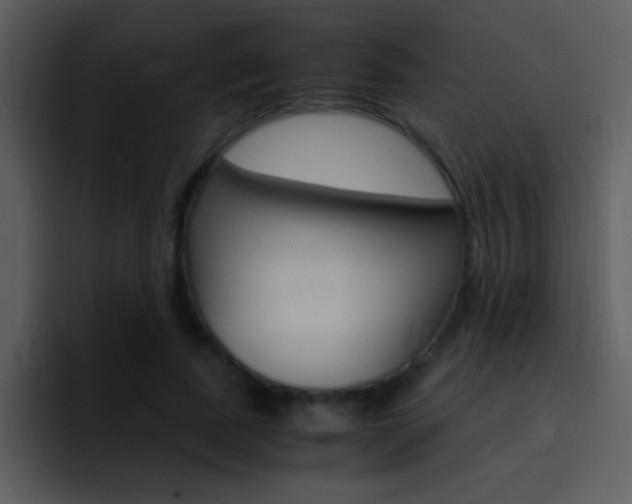 X0000096980739200802080859