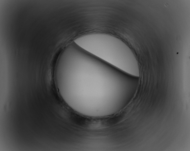 X0000096980740200802080859