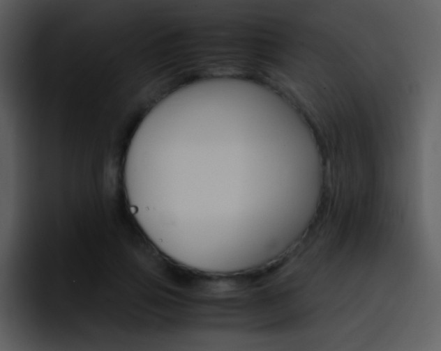 X0000096980741200802080859