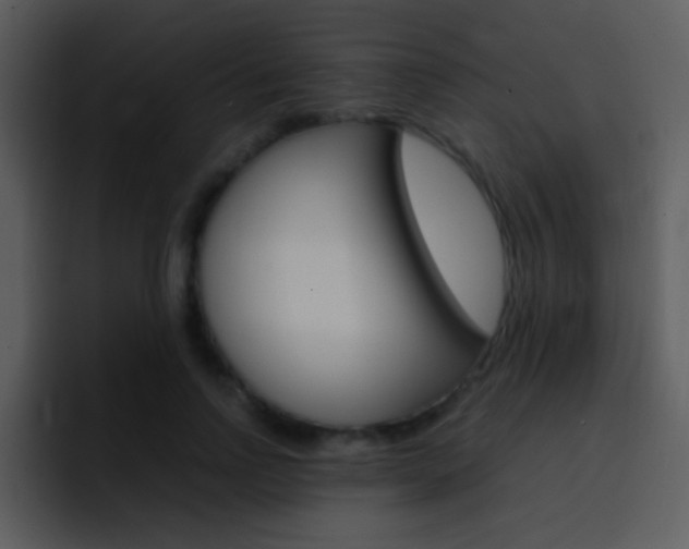 X0000096980742200802080859