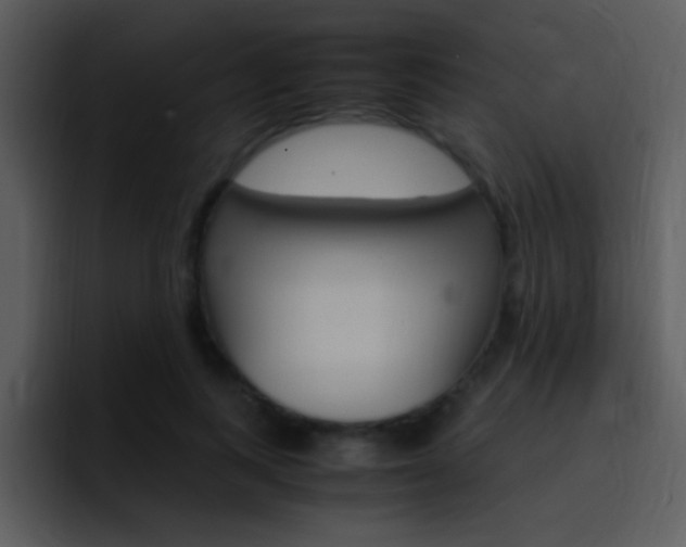 X0000096980743200802080859