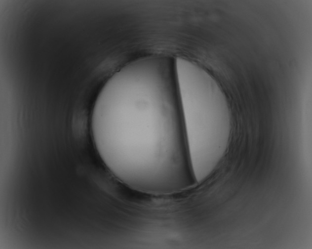 X0000096980744200802080859
