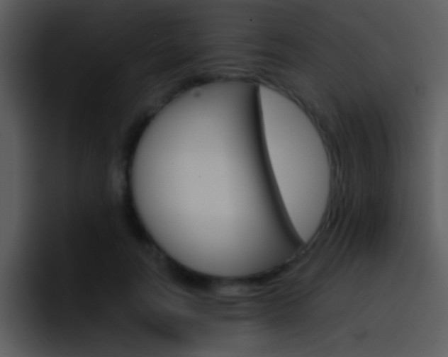 X0000096980746200802080859