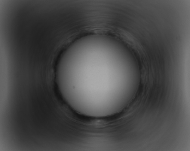 X0000096980748200802080859