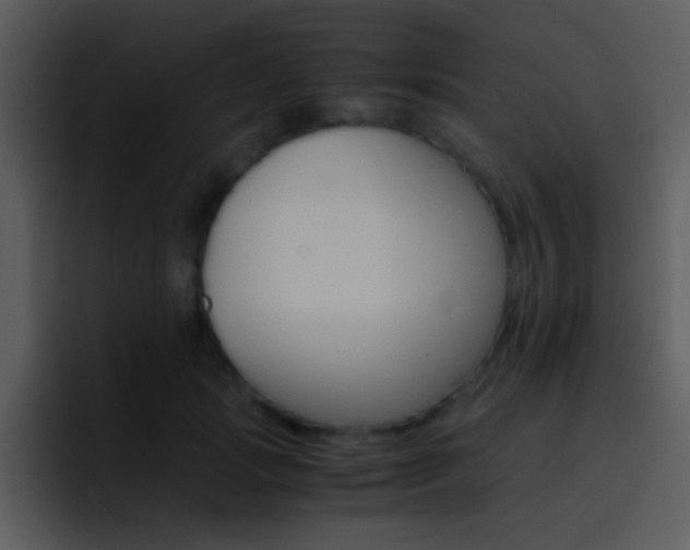X0000096980749200802080859