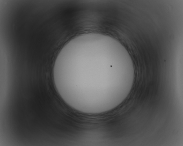X0000096980750200802080859
