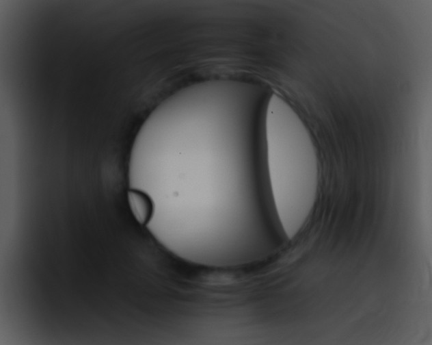 X0000096980751200802080859