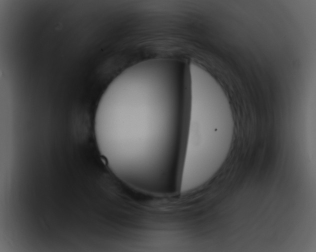 X0000096980752200802080859